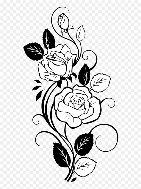 Transparent Flower Vine Png - Rose Vine Drawing, Png Download - vhv