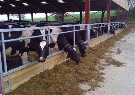 Bespoke Cattle Feeding Systems - LM Bateman