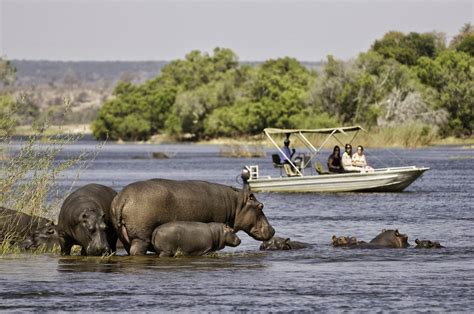 My Self: TOURISM IN BOTSWANA