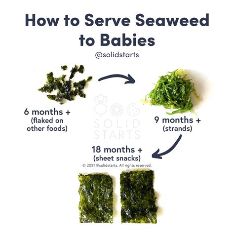 Seaweed for Babies - First Foods for Baby - Solid Starts