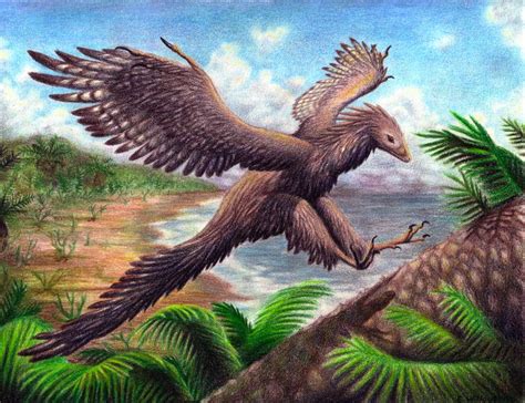 Facts About Archaeopteryx, the Famous "Dino-Bird"