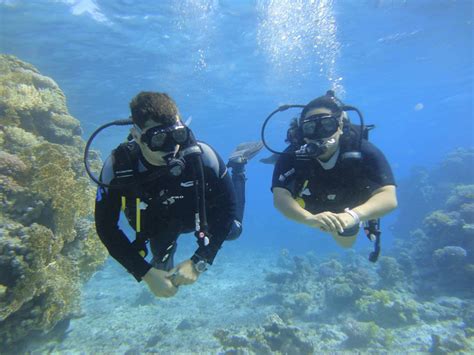 Sharm El Sheikh Diving Day Trips | Scuba Diving Tours