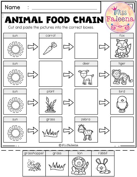 Food chain worksheet 1st grade | Zoo Animals