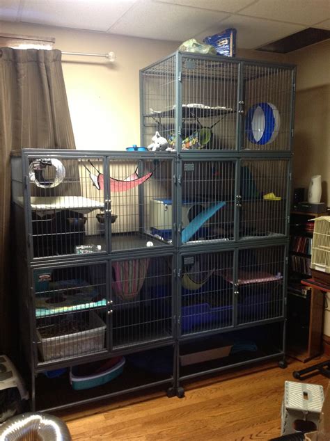 Giant Ferret Cage