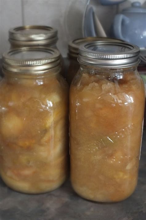 Apple Pie Filling or Chunky Applesauce (with Pictures) - Instructables