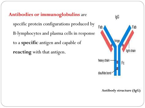 PPT - Antigen-antibody reaction PowerPoint Presentation, free download - ID:2009901