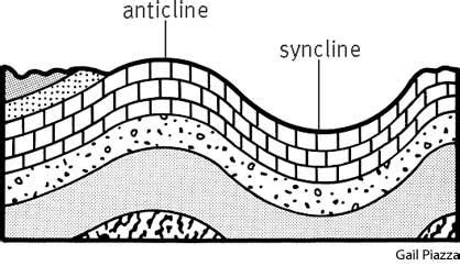 the layers of an ocean floor are labeled