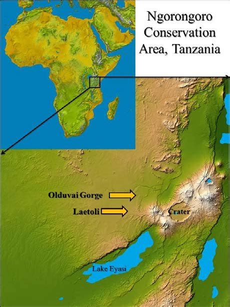 Ngorongoro Crater Map