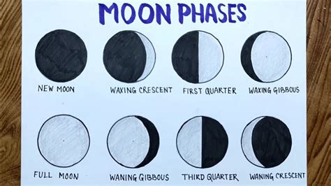 Moon Phases drawing easily/How to draw phases of the moon - YouTube