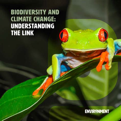 Biodiversity and Climate Change: Understanding the Link - Environment Co