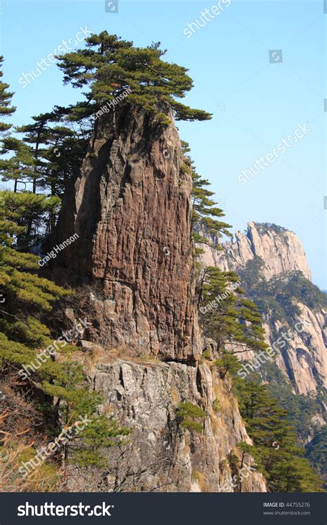 Pine Trees Growing On Crag Huangshan Stock Photo 44755276 - Shutterstock