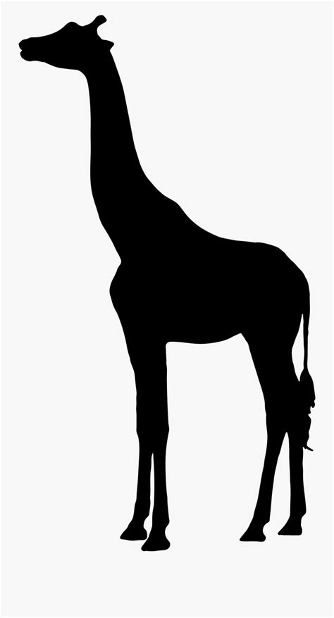 Clipart - Giraffe African Animals Silhouette , Free Transparent Clipart - ClipartKey