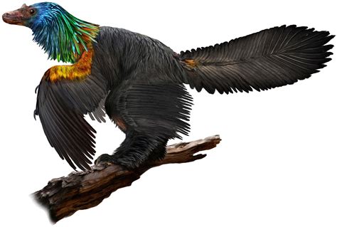 This Newly Discovered Dino-Bird Sported Flashy, Iridescent Feathers | Audubon