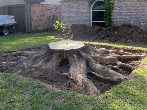 The benefits or drawbacks of Stump Grinding or Stump Removal - Crowe Tree Service Inc.