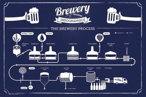 Brewery infographic | Beer brewing process, Infographic poster, Home ...