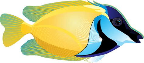 Free Tropical Fish Cliparts, Download Free Tropical Fish Cliparts png images, Free ClipArts on ...