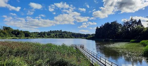 Bailieborough Castle Lake Walk: A Perfect Autumn Walk