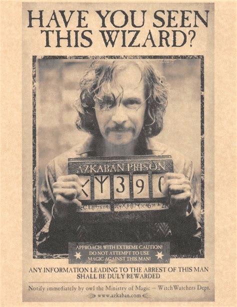 Harry Potter Have You Seen This Wizard? | Grelly USA