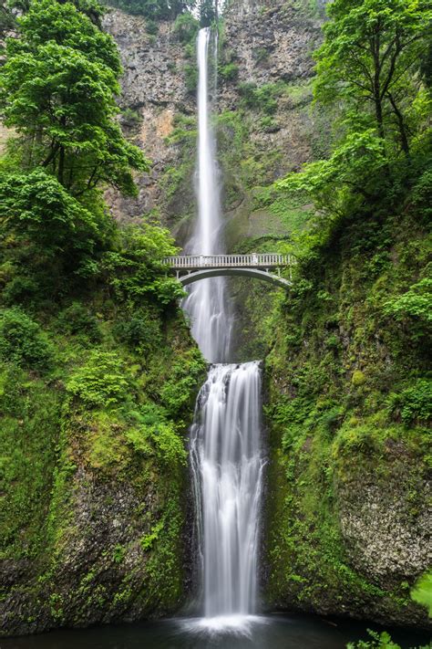 Free Images : nature, forest, waterfall, bridge, splash, flora, body of ...