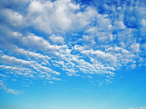 Bright Blue Sky With White Clouds Free Stock Photo - Public Domain Pictures