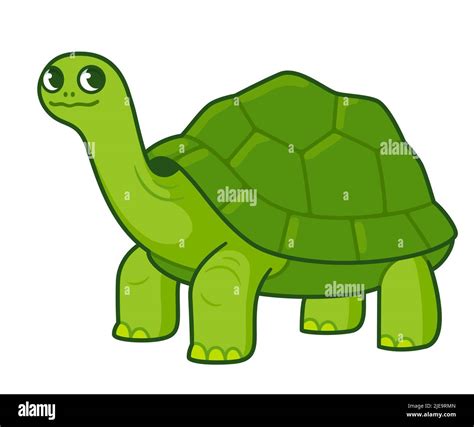 Tortoise galapagos drawing Stock Vector Images - Alamy