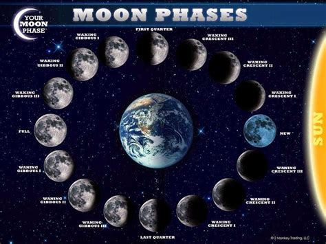 The Cool Science Dad: Learn the Moon Phases