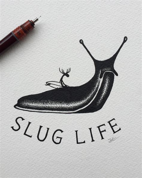 Slug Drawing at PaintingValley.com | Explore collection of Slug Drawing