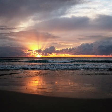 Tranquil Beach Sunrise Photograph by Catherine Reading - Fine Art America