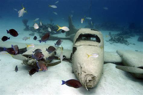 nassau-snorkeling-airplane-wreck-snorkeling - Bahamas Cruise Excursions