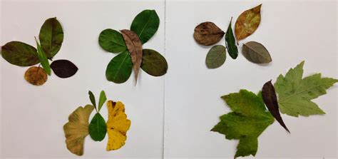 Kristen Applebee: Leaf Art Projects for Kids