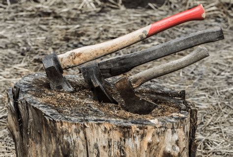 Hatchet vs Axe Explained: Comparing These Distinct & Useful Tools - The Forestry Pros