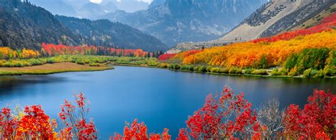 Autumn trees Wallpaper 4K, Lake, Mountain range, Daytime