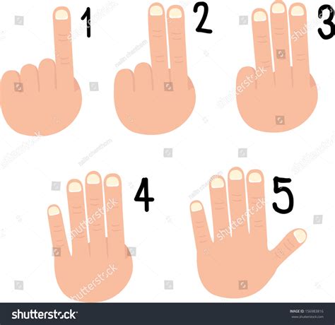 Illustrator Hand Signs Stock Vector (Royalty Free) 156983816 | Shutterstock