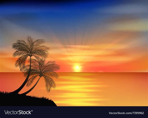 Sunset background on beach with palm tree Vector Image