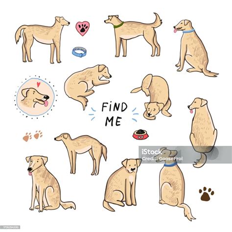 Adopt A Dog Vector Illustrations Set Stock Illustration - Download ...