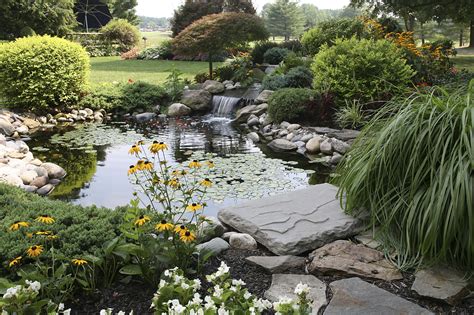 Koi Fish Pond Garden - Best Decorations