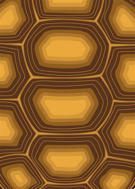 Vector illustration patterns, sulcata, indian star tortoise shell, turtle shell seamless ...