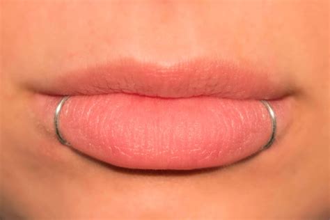 Fake Lip Ring Snake Bites NO PIERCING REQUIRED Lip Cuffs - Etsy