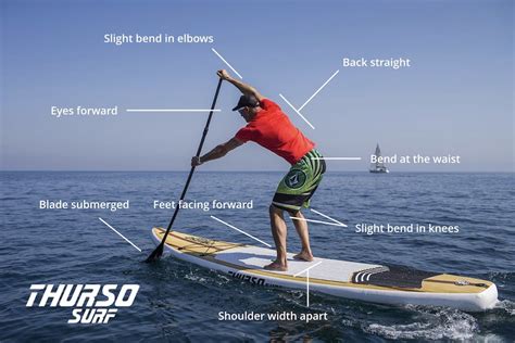 5 TIPS FOR MASTERING THE BASICS: ESSENTIAL PADDLE BOARDING TECHNIQUES ...