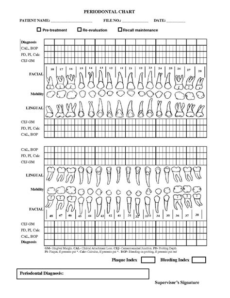 Printable Periodontal Chart