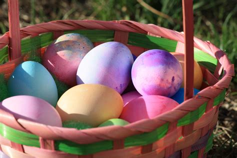 Colored Eggs in Easter Basket – Photos Public Domain