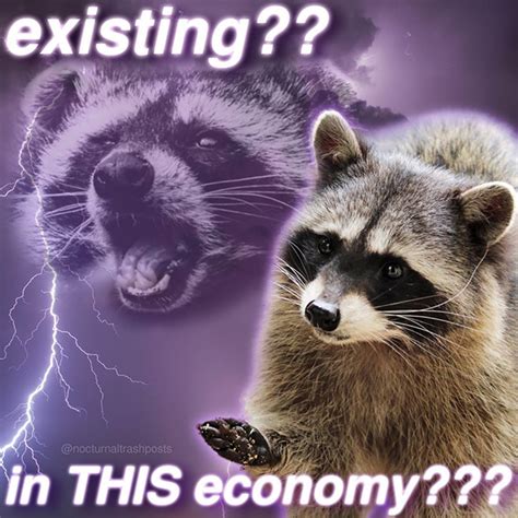 Funny Raccoon Memes by “Nocturnal Trash Posts” Instagram