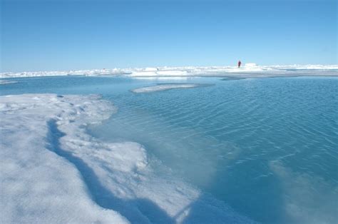 Climate change: focus on the Arctic Ocean and Tara Polar Station