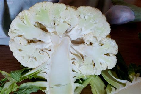 Cauliflower Sliced Cabbage · Free photo on Pixabay