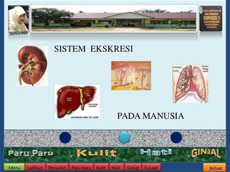 Sistem ekskresi pada manusia ppt