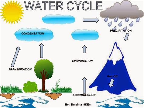 Mrs Smallwood's Science classes: The Water Cycle Posters