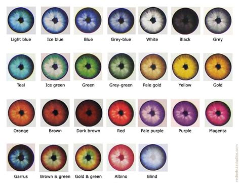 rare eye colors chart google search eye color chart rare eye - different eye colors eye color ...