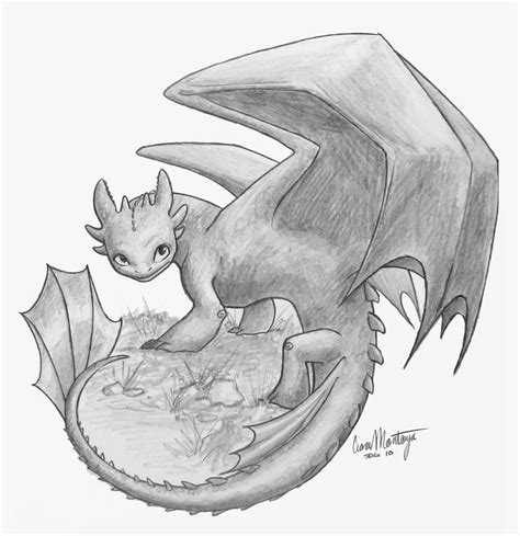 Dragon Toothless Drawing