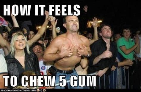 [Image - 505143] | How It Feels To Chew 5 Gum | Know Your Meme