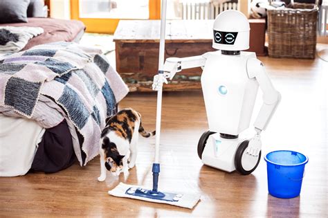 These household chores will be done by robots by 2040